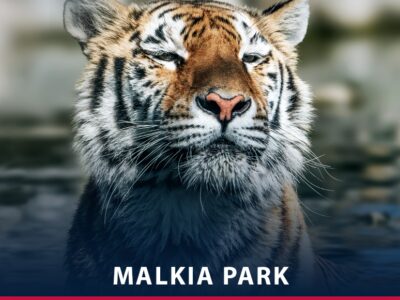 Malkia Park
